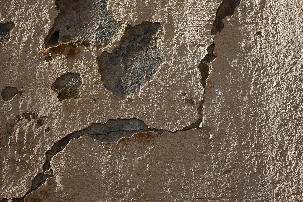 Mur En Platre Humide